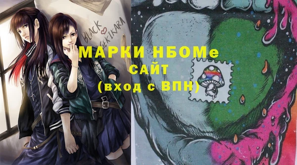 гидра Елабуга