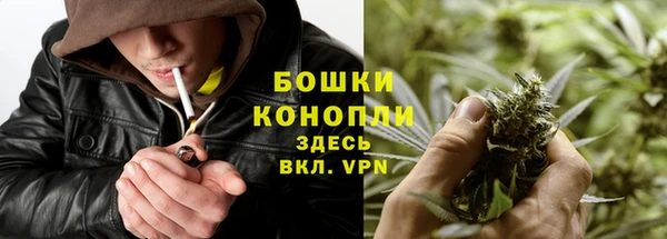 Альфа ПВП Елизово