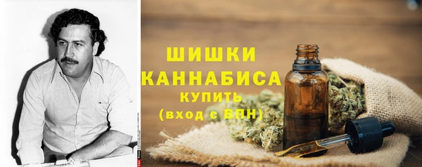 Альфа ПВП Елизово