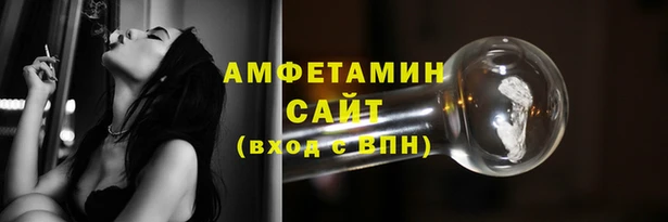 гидра Елабуга