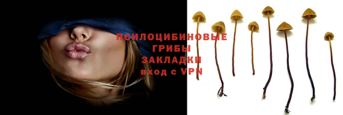 ешки Ельня