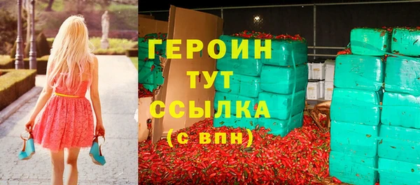 гидра Елабуга
