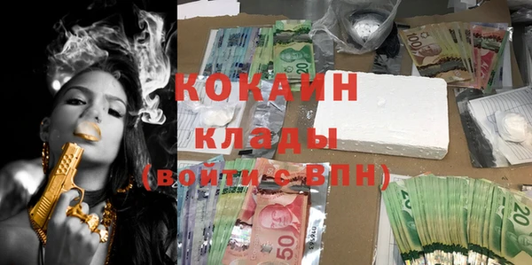 ешки Ельня