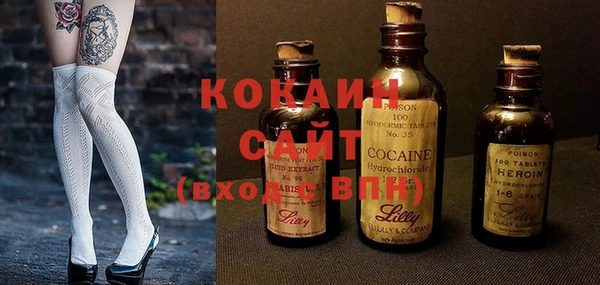 гидра Елабуга