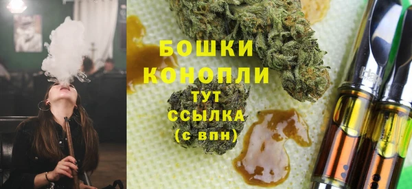 ешки Ельня