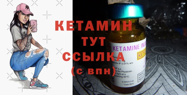 гидра Елабуга