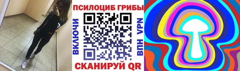 Купить  Собинка  Галлюциногенные грибы GOLDEN TEACHER 