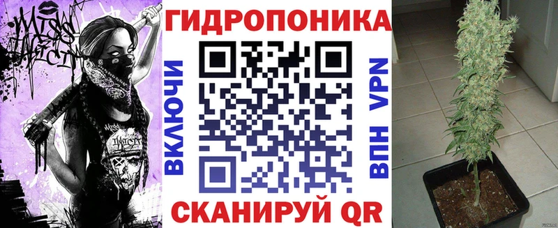 Конопля план  Купить  Собинка 